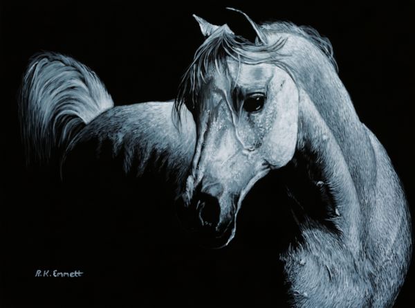 Arabian Grace
