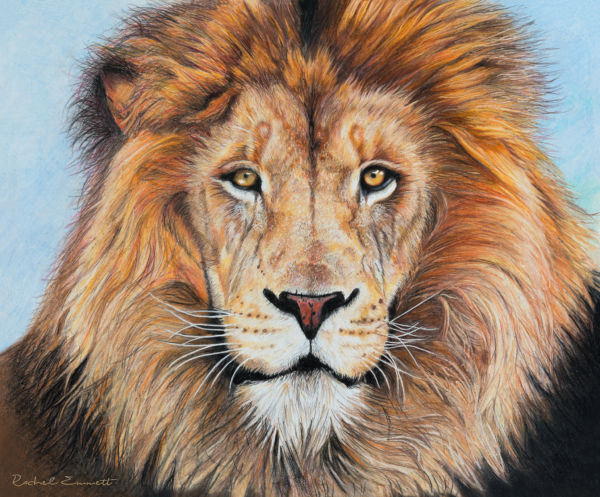 Leo